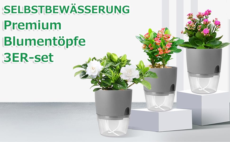 herb garden