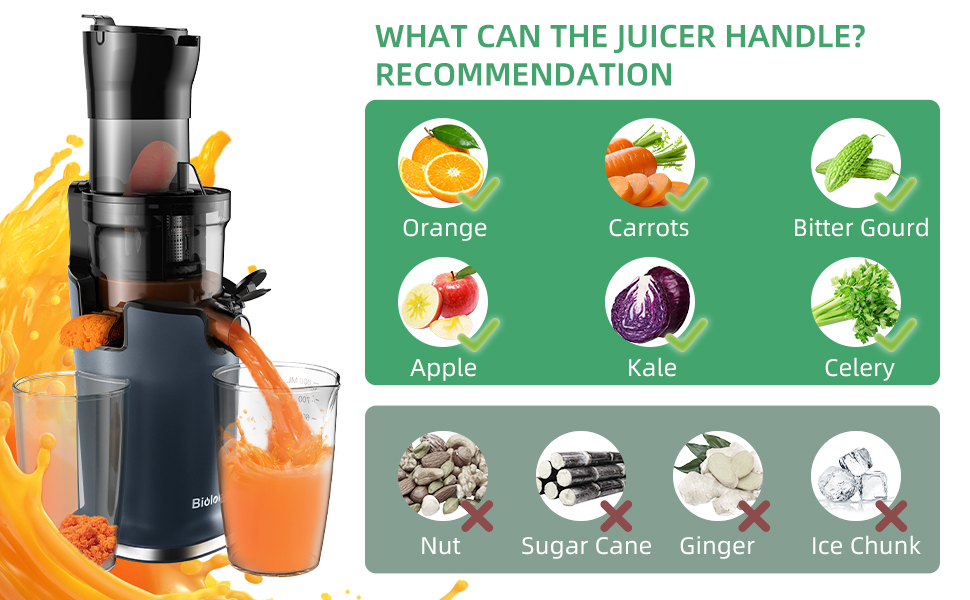 Biolomix Masticating Juicers for Whole Fruits and Vegetables, Cold