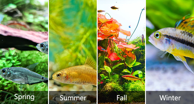 Aquarium Chillers Aquarium Cooling Fan