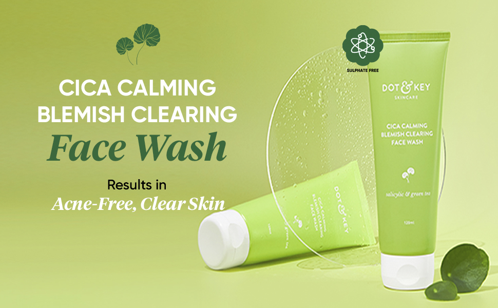 Dot & Key CICA Face Wash for Acne Prone Skin, 2 Salicylic Acid Face