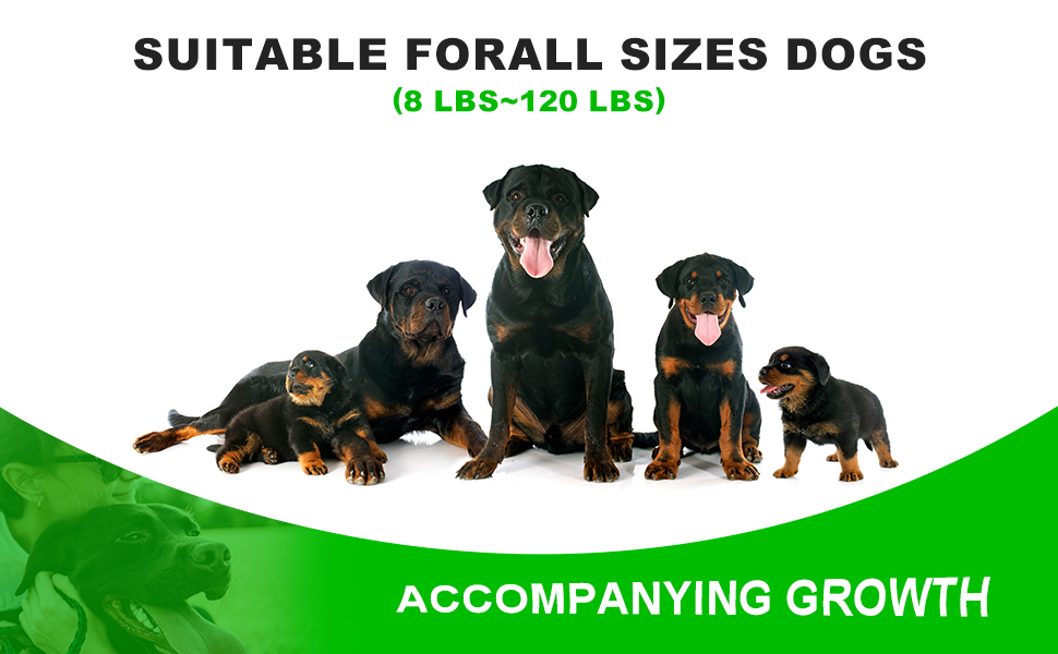 Axhpn Dog Shock Collar Electric Dog Training Collar with