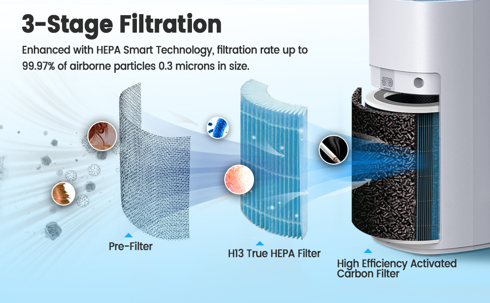 Air Purifier for Home Large Room Up to 2024sq.ft, True HEPA