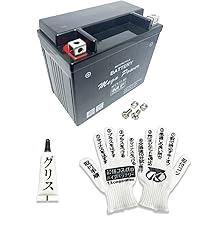 Amazon | メガパワー バイクバッテリー PCX125 型式 EBJ-JF28