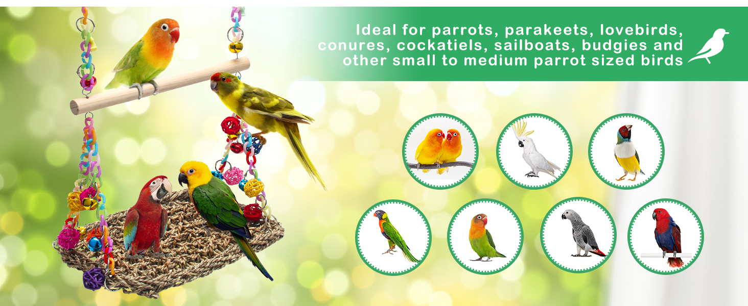 Bird Parrot Trapeze Swing