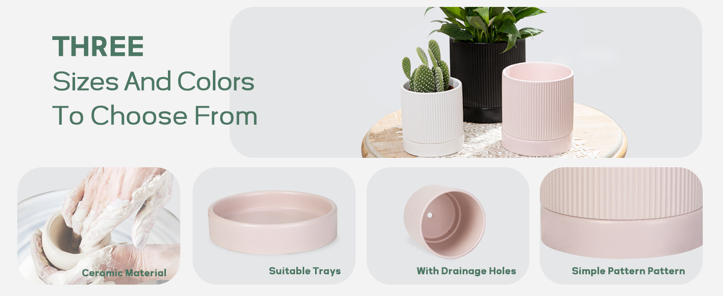 Ceramic Plant Pots