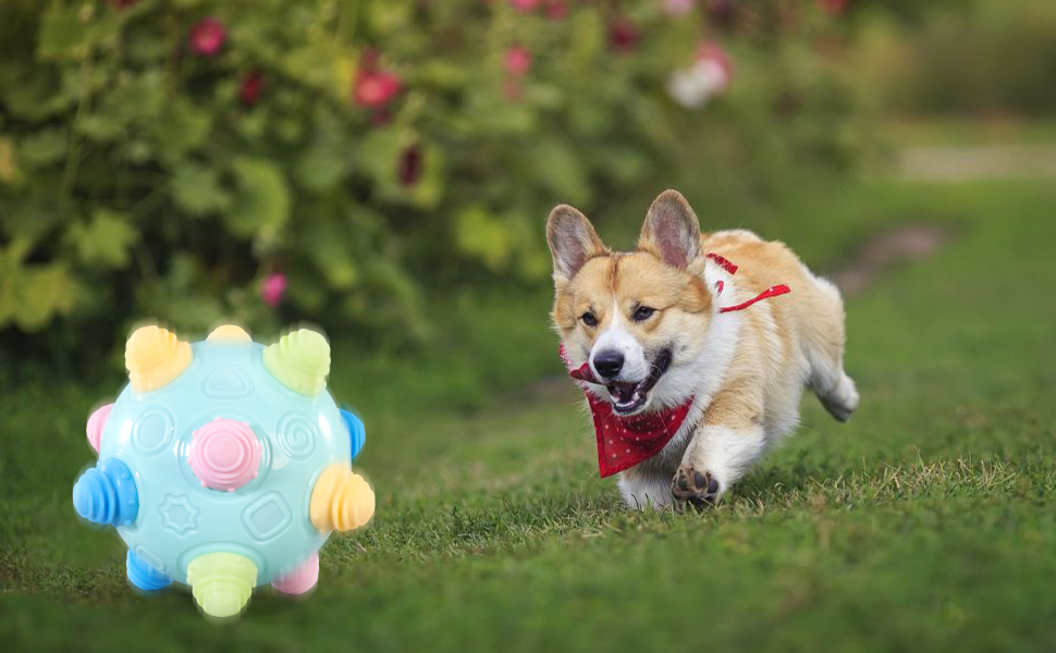 Music Shake Ball Toy,Dancing Bumpy & Interactive Sounds Crawl Toy