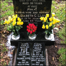 Small manufacture image 3