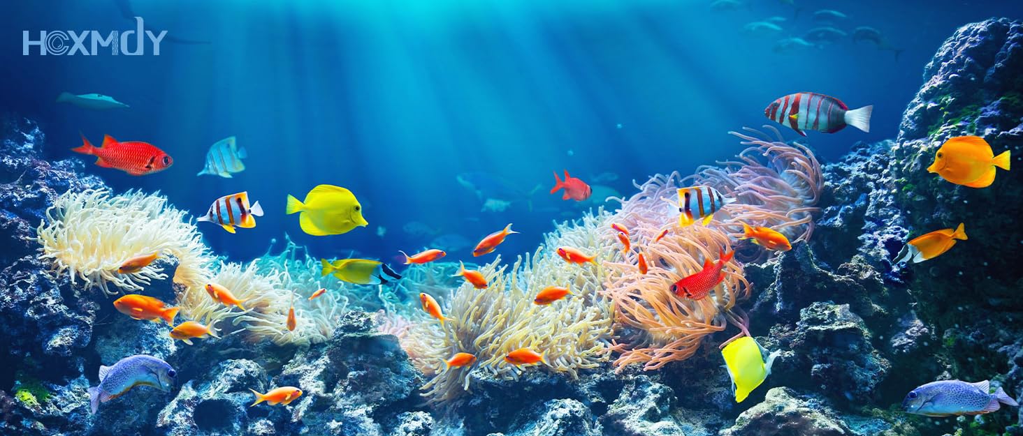 digital aquarium heater