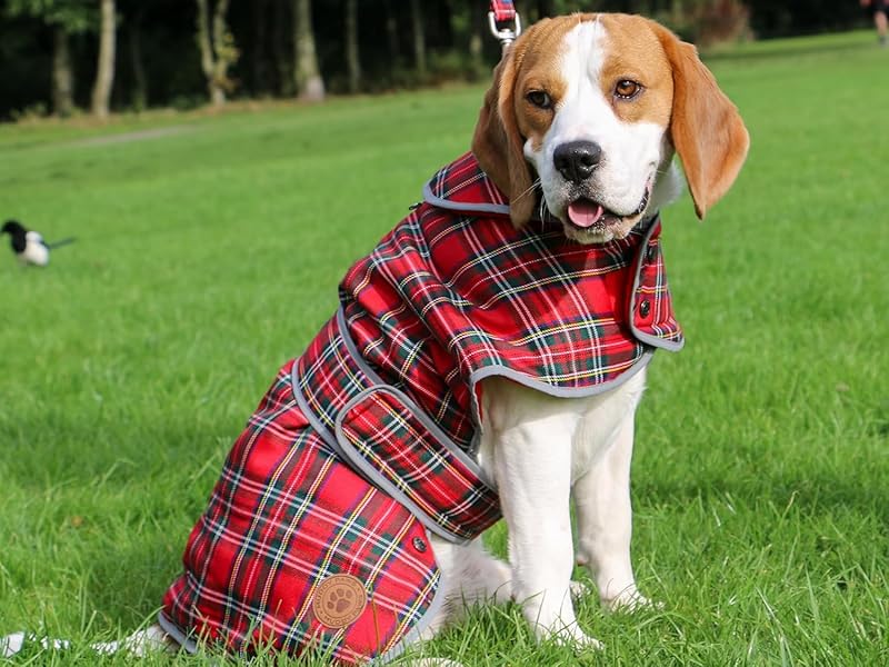Ancol Heritage Dog Coat in Red Tartan - Fleece Lined Pet Jacket with Chest Protector and Zipped Harness Hole - Reflective Edging Puppy Apparel - XS 11 aplus content image
