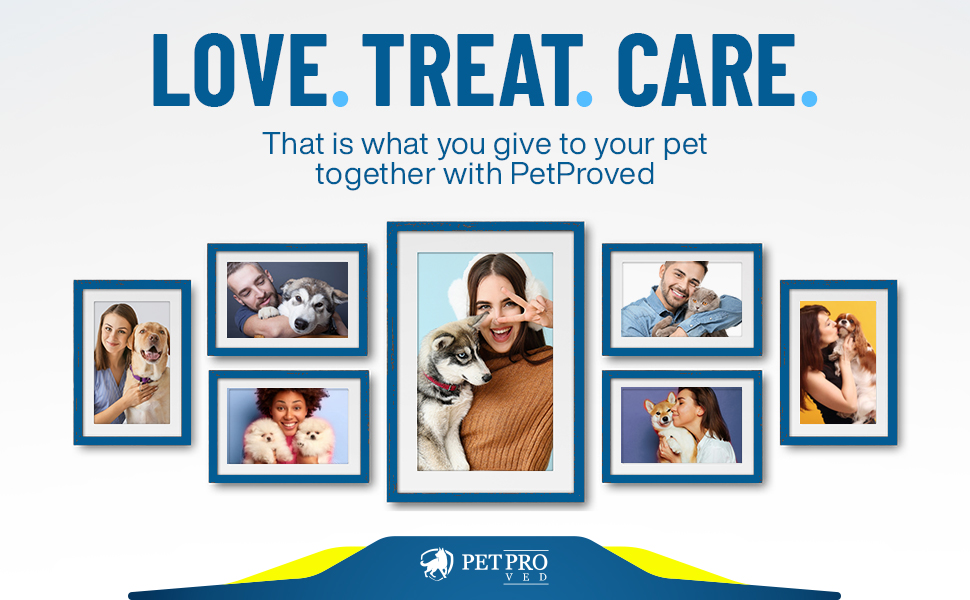 dog brush  dog brushes for grooming  dog accessories