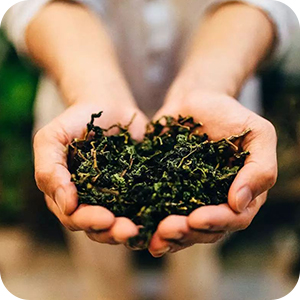 Small manufacture image 2