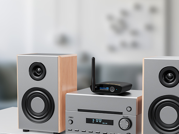 DS200Pro bluetooth adapter for home stereo