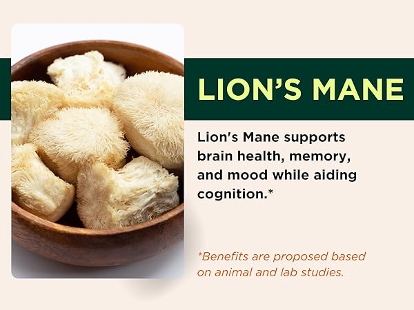 Lion's Mane Mobile