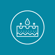 SPN-22D31C-Lactic Acid