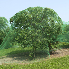 Small manufacture image 7