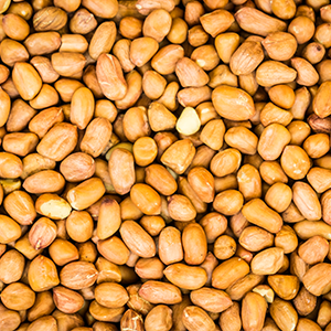 Myfitness Original Peanut Butter Crunchy 1250g 13 100% raw organic peanuts