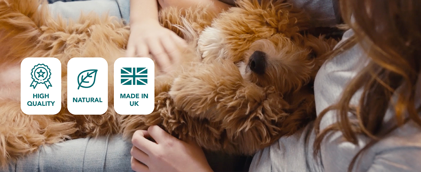 Natural Itchy Dog Skin Relief - 4