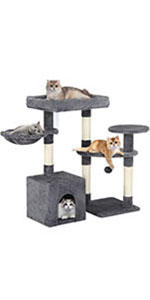 cat tree