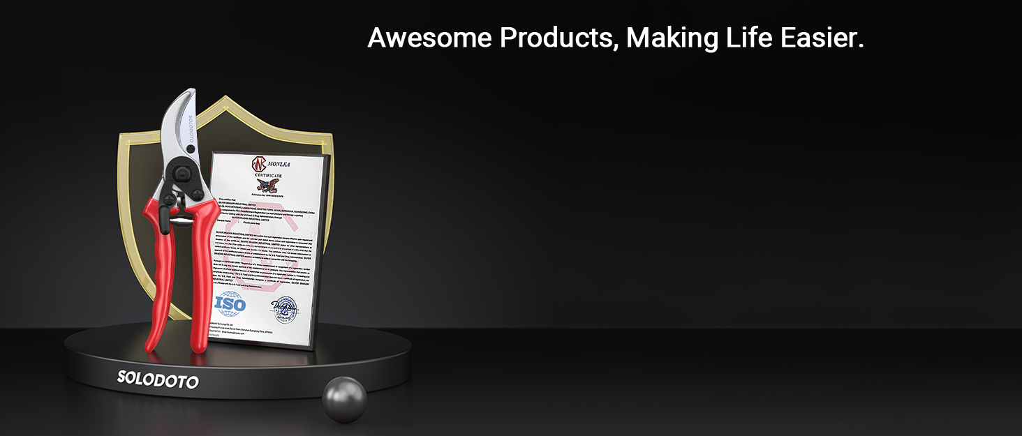 aplus content image