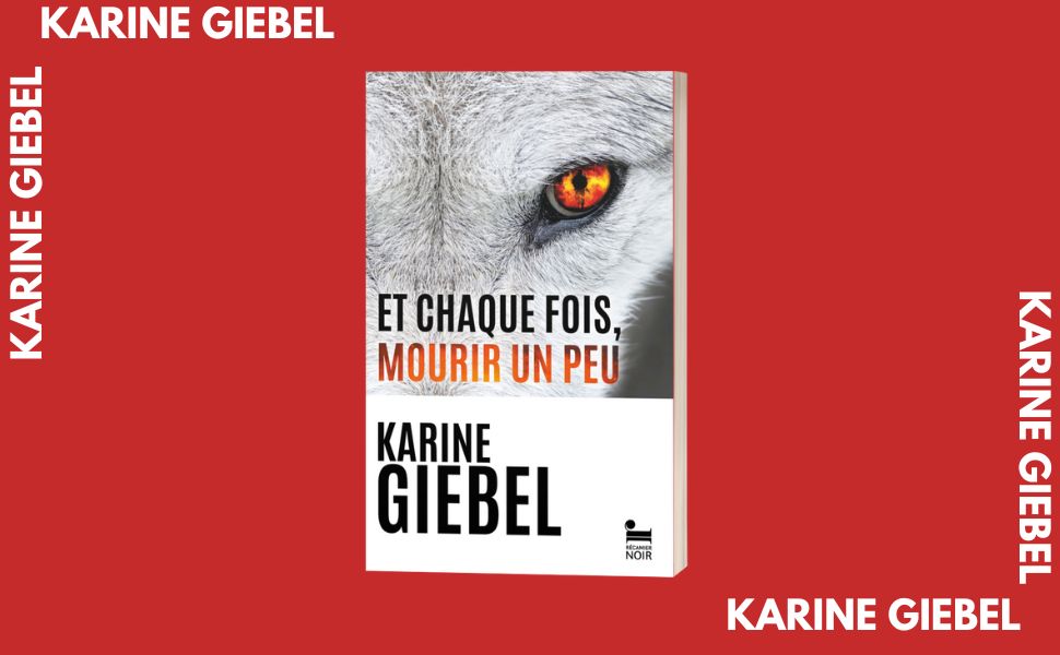 Trauma(s) Et chaque fois, mourir un peu Livre 2 Roman policier de Karine Giebel, Le nouveau