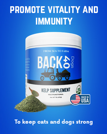 superfood bulk algae seameal moss powdered iron bone flaxseed greens phytoplankton 