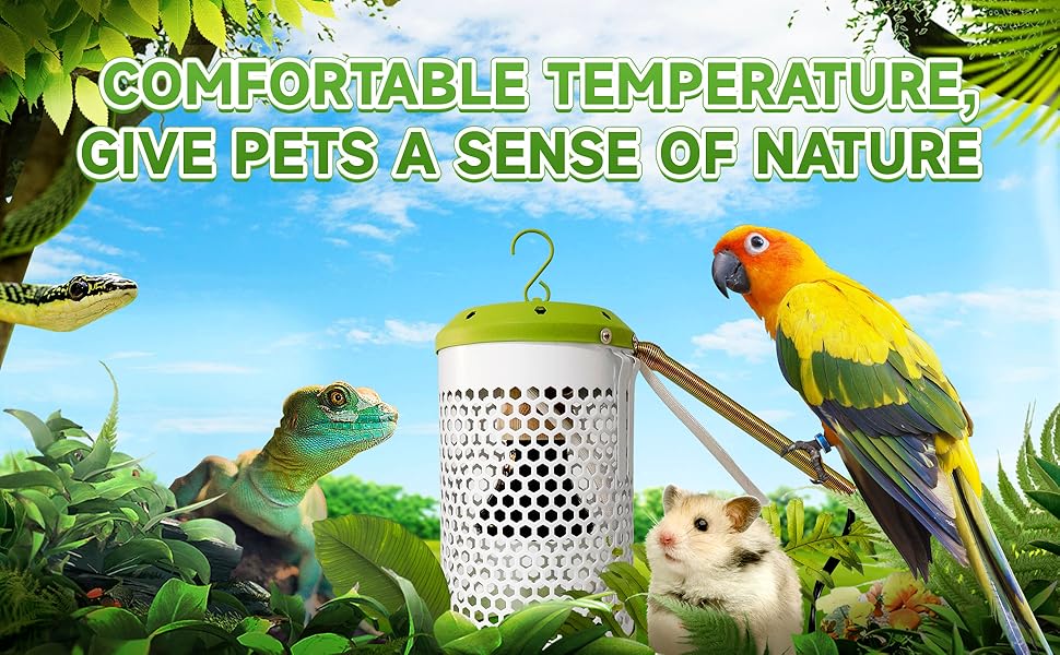 Create a comfortable environment