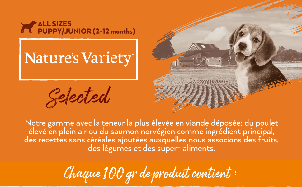 nature's variety, dog, junior, chicken, selected