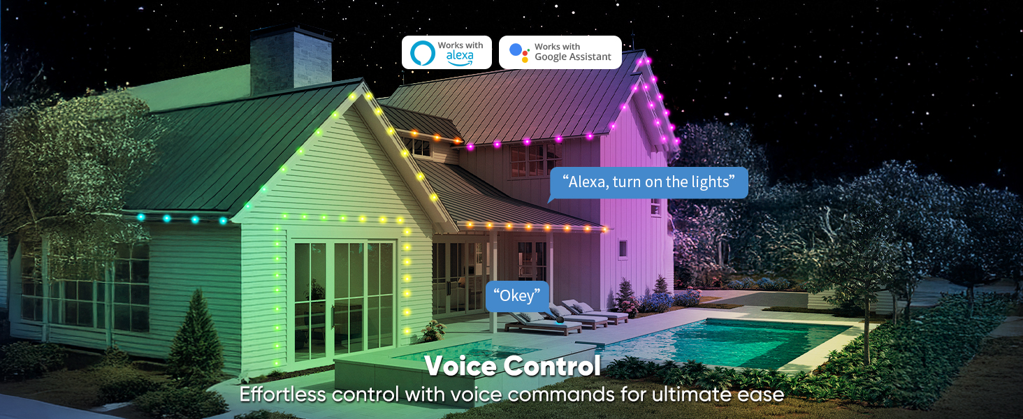 Voice Control