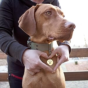 Hund und Halter mit Fellsockenmarke