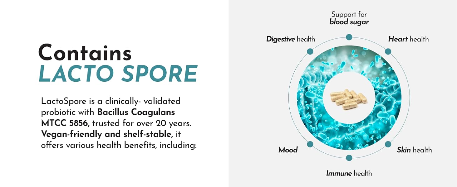 contains lactospore