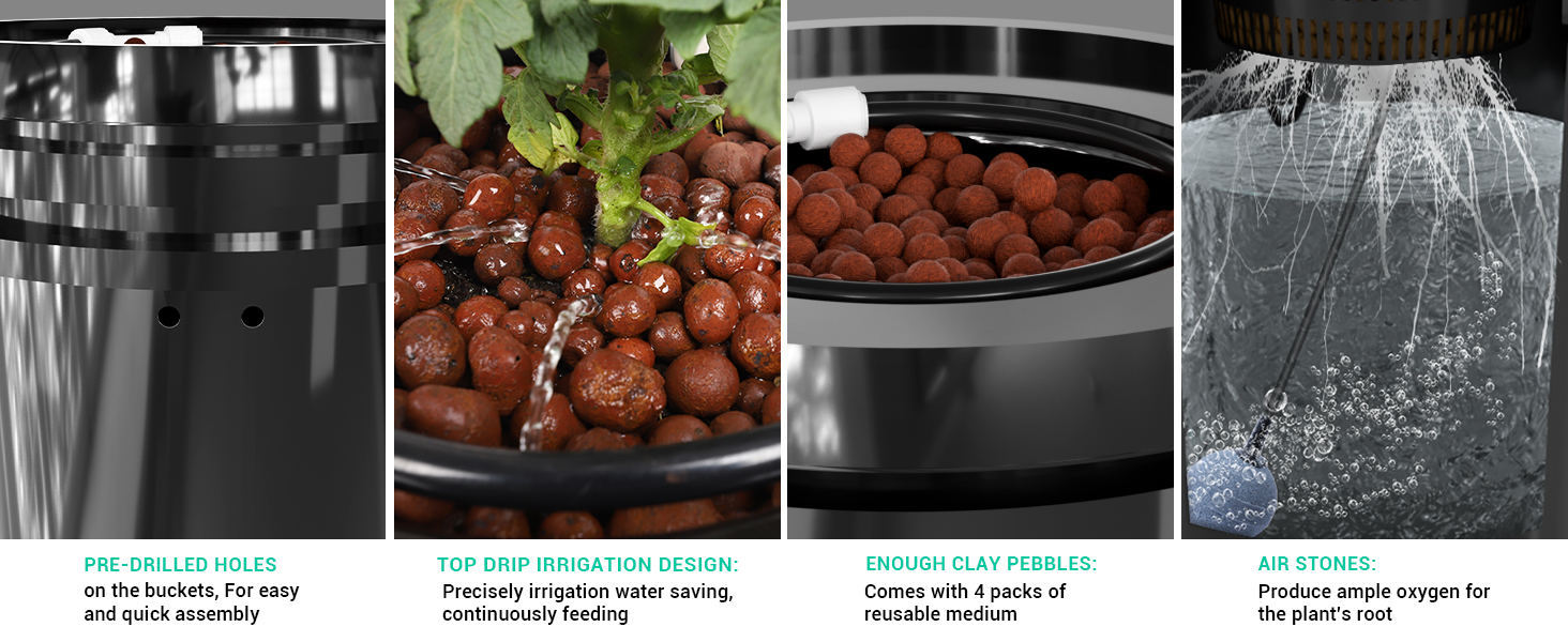 RDWC Top Feed Drip Hydroponics Systems 6 Buckets