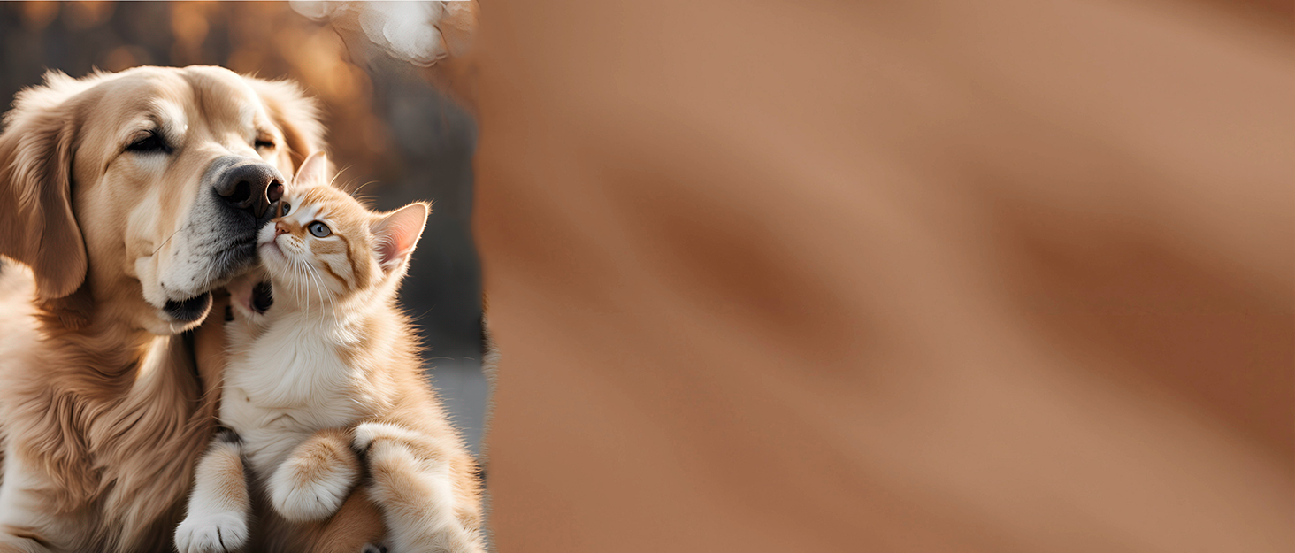 pet water fountain dog water fountain for large dogs pet fountain dog fountain water bowl 