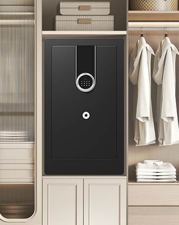 Extra Large Biometric Safe Box