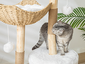 cat tree