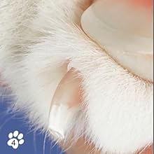 Check and polish nails