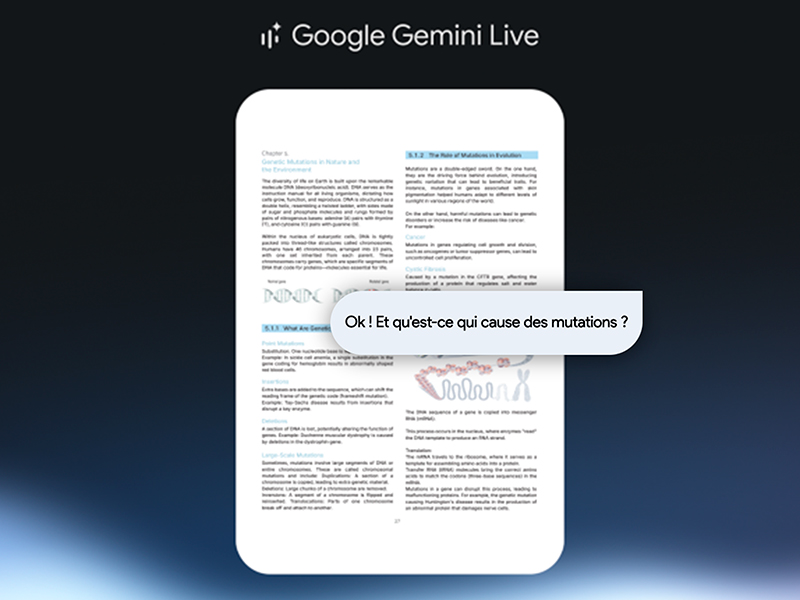 Gemini Live