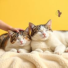 Cat Anti-Aggression Support