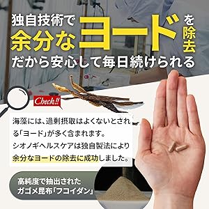 후코이단 fucoidan 보충제 보충제 비타민 건강 해초 건강 식품 건강 보충제 비타민 d 비타민 b6 비타민 b 군 피곤 30 대에서 보충제