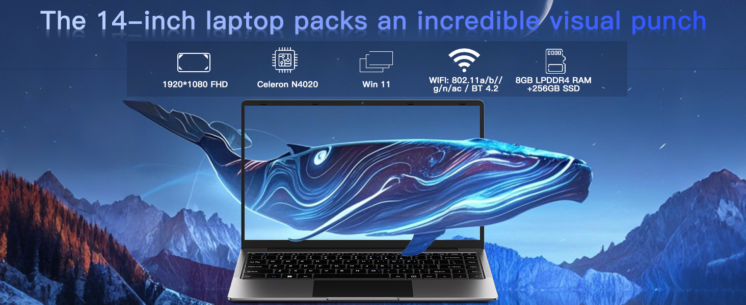 Laptop 