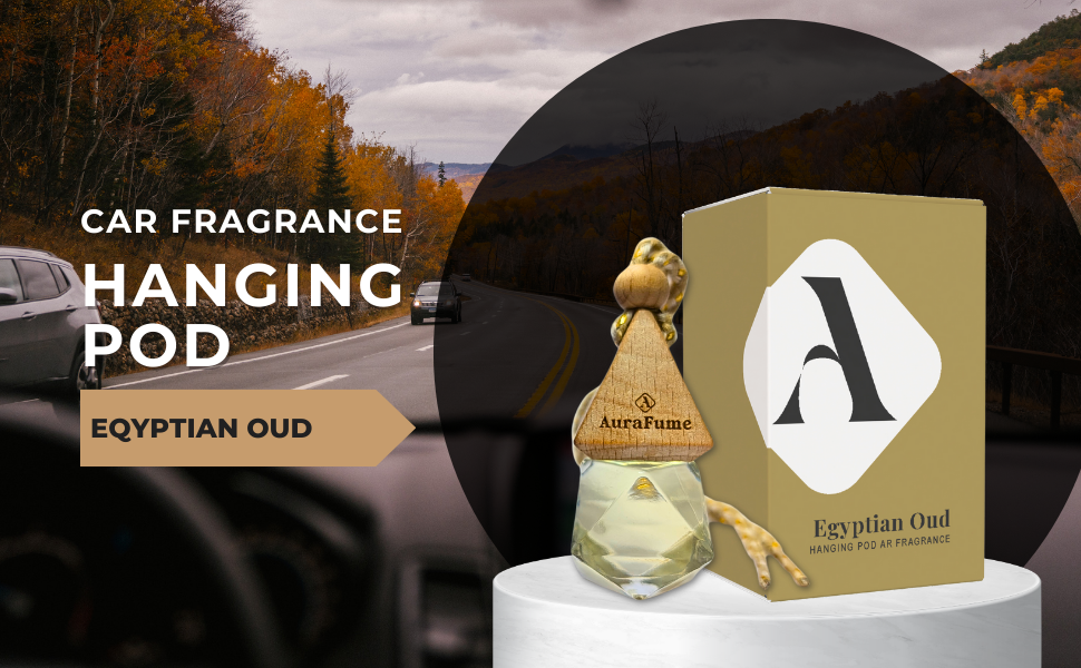 car hanging pod car perfume