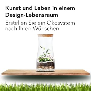 ein Glasgefäß, in dem eine Pflanze wächst
