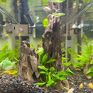 Small manufacture image 3