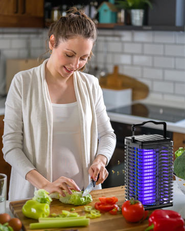 Solar Mosquito Zapper