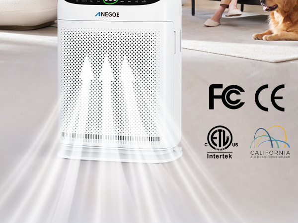 Amazon.com: Air Purifiers for Home Large Room Up to 2500 Ft²