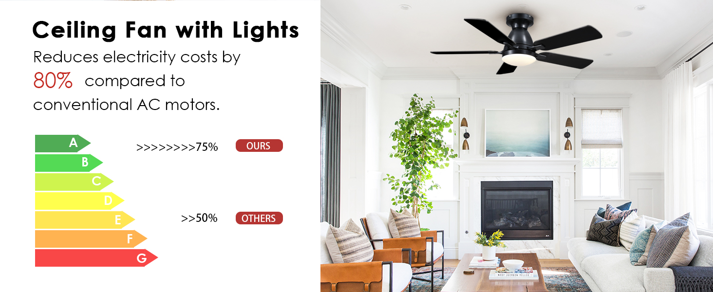 Ceiling Fans with Lights