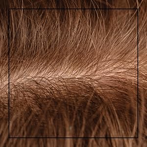 Small manufacture image 7