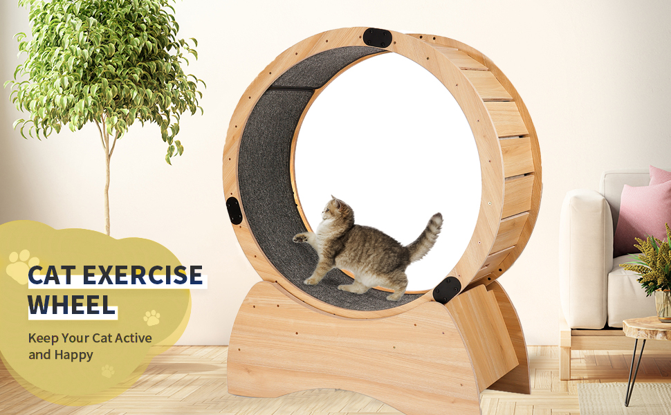 Wooden Cat Exercise Wheel for Indoor Cats with Locking
