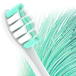 Dupont Bristles