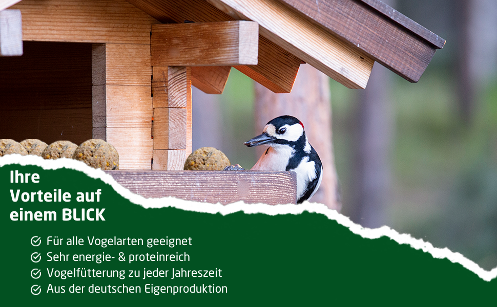 Vogelhaus aus Holz mit einem Vogel am Eingang. Der Text in deutscher Sprache listet Vorteile auf, darunter die Eignung für alle Vogelarten und energiereiche Inhalte.
