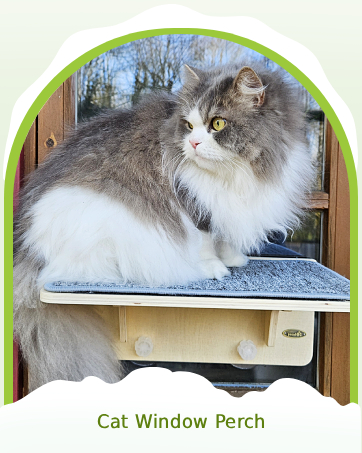 Cat Window Perch